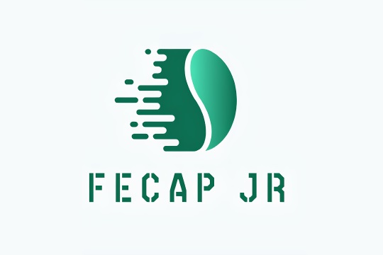 Imagem logo da fecap jr.