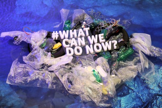 Imagem de plásticos sobre a água com a frase what can we do now