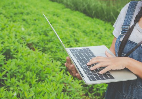 Profissionais do Agronegócio podem cursar MBA na França