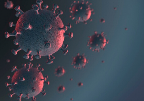 Comunicado: FECAP continua com atividades digitais até 22/04