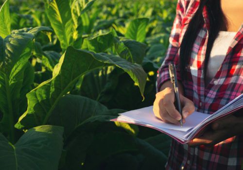 Agronegócio, decifra-me ou te devoro!