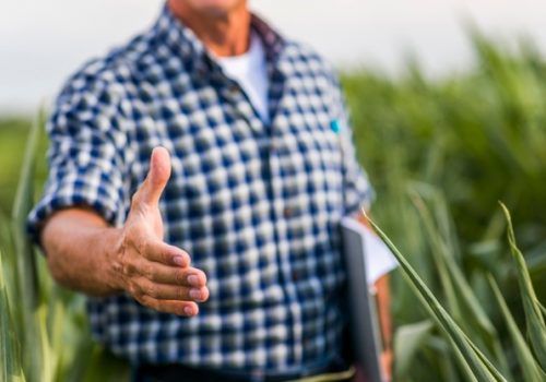 Artigo: Agronegócio acumula ganhos mesmo em tempos de pandemia