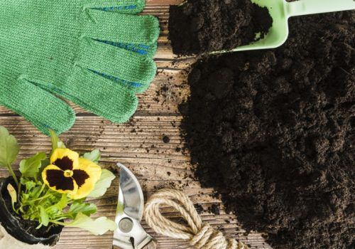 Alunos aprendem a fazer biofertilizante e pesticida de baixo custo