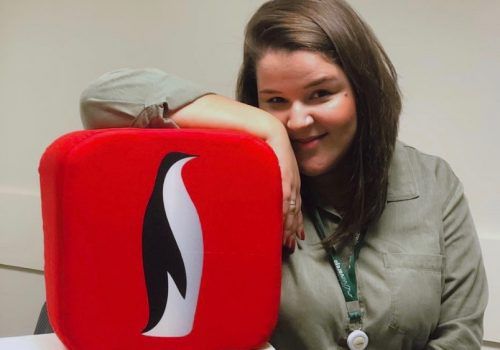 Alumni Alvarista: ex-alunos Natália trabalha na Via Varejo