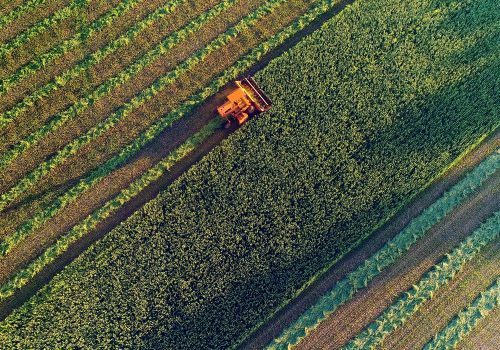FECAP promove webinar sobre panorama geral do agronegócio brasileiro