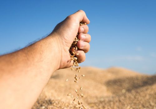 Especialista traça futuro do agronegócio em 2021