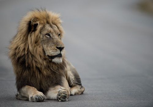 IRPF 2021: a um mês do prazo final, veja dicas para a declaração