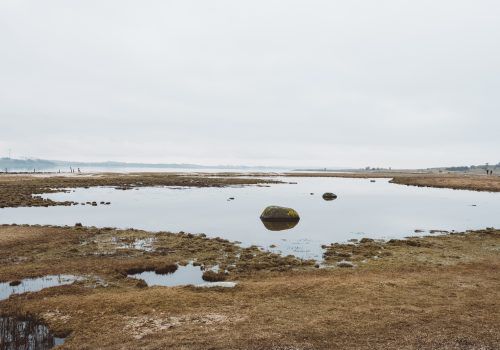 Entenda as consequências da maior estiagem do país para a economia