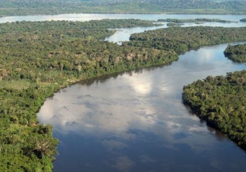 Especialista comenta proposta de criação de fundo nacional para Amazônia Legal