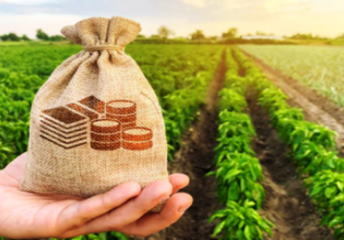 Marketing a “alma” do agribusiness