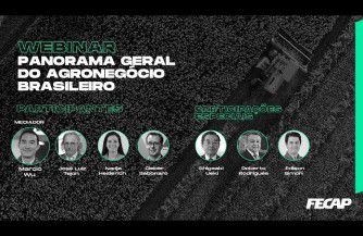 thumbnail Panorama Geral do Agronegócio Brasileiro