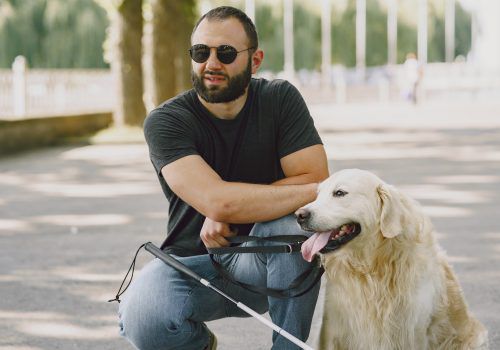 Capacitação para pessoas com deficiência visual: FECAP e Instituto LHON lançam 10 cursos gratuitos