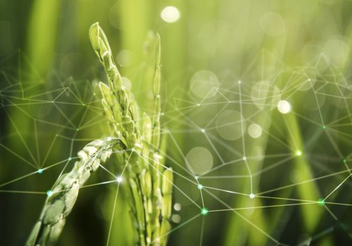 Estudantes da FECAP visitam a Agrishow, uma das maiores feiras agrícolas no mundo