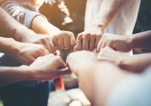 Um panorama das ONGs no Brasil