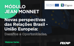 Módulo Jean Monnet – WEBINARS