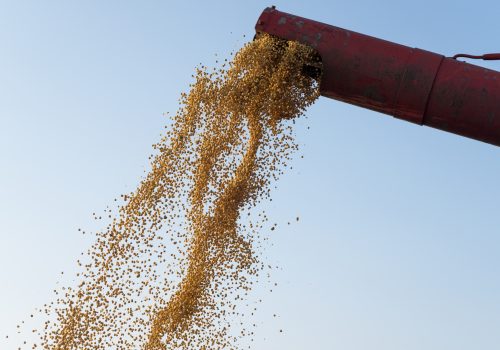 Desafios climáticos impactam projeções para safra de soja no Brasil, refletindo tendência global com implicações econômicas 