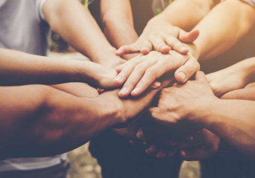 Números do Terceiro Setor em 2024