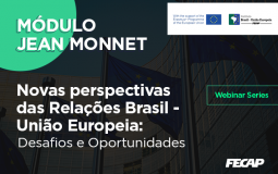 Módulo Jean Monnet – WEBINARS SERIES