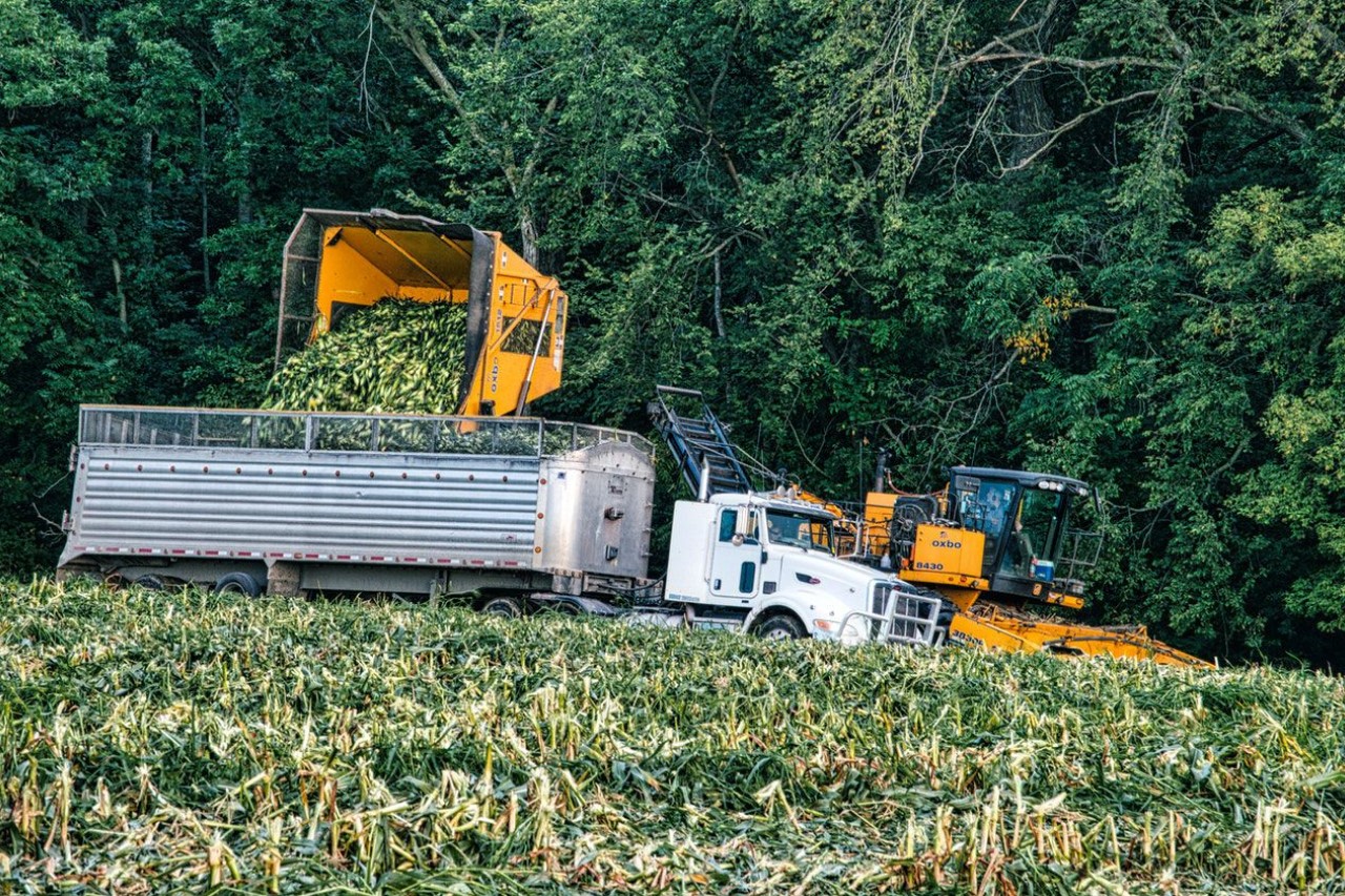 Marcello Brito, presidente da Abag, no Agroconsciente direto de Glasgow