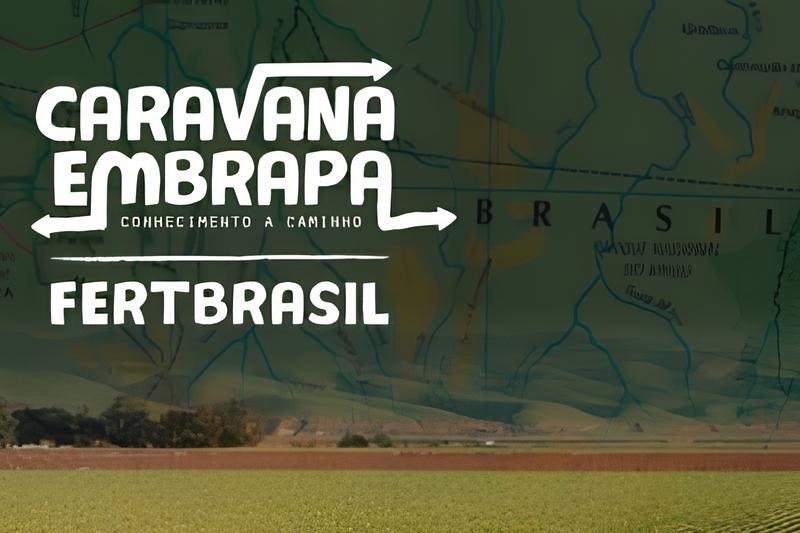 Qual a missão única que somente o Brasil poderia ocupar no mundo doravante?