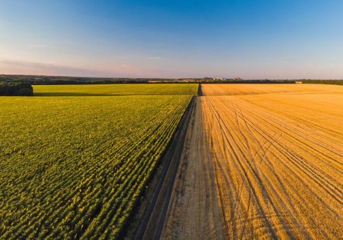 Estratégia de comunicação na era “agribiocitizenship”