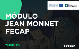 JEAN MONNET – Webinars Series