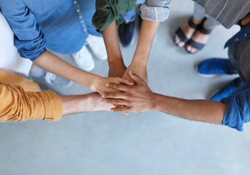 Conheça os integrantes do Comitê Alumni Alvaristas 2024-2025 da FECAP