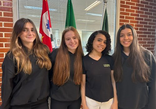 Estudantes do Colégio FECAP conquistam bolsas de iniciação científica pelo PIBIC-EM/CNPq 