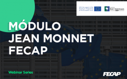 Jean Monnet – Webinar Series