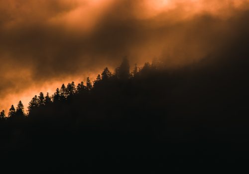 Artigo: As queimadas, os solos e a sustentabilidade do agronegócio