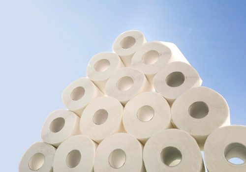 Artigo – América do Sul: Consolidação como principal produtor de celulose não é acaso