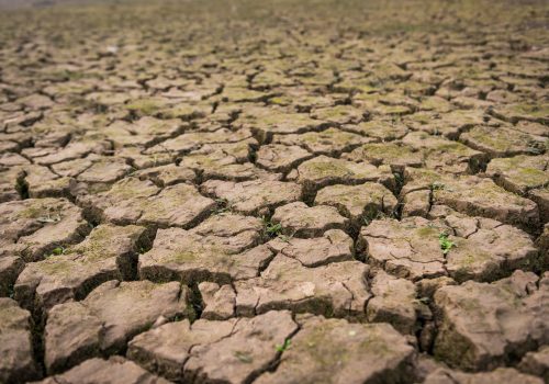Com seca e mudanças climáticas, seguros agrícolas são alternativa para o futuro do agronegócio brasileiro