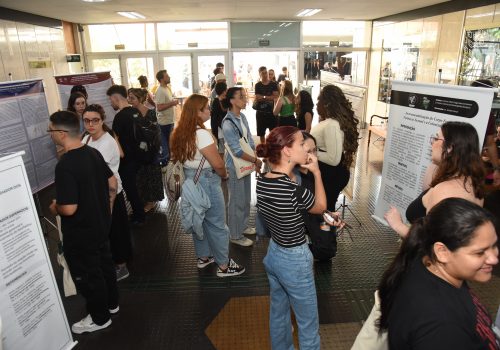 XVII Encontro de Iniciação Científica destaca produções e trabalhos de alunos da FECAP