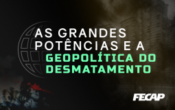 As grandes potências e a geopolítica do desmatamento.