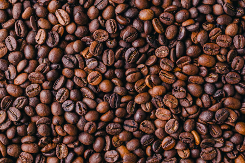 Artigo – A cadeia produtiva do café no brasil: importância, processos e perspectivas