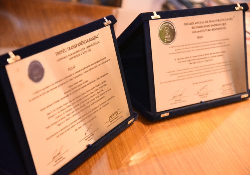 FECAP é reconhecida pela ANEFAC por sua contribuição às boas práticas de transparência e ESG 