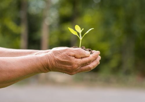 Depois da COP no Brasil, o que esperar do ESG em nosso país?