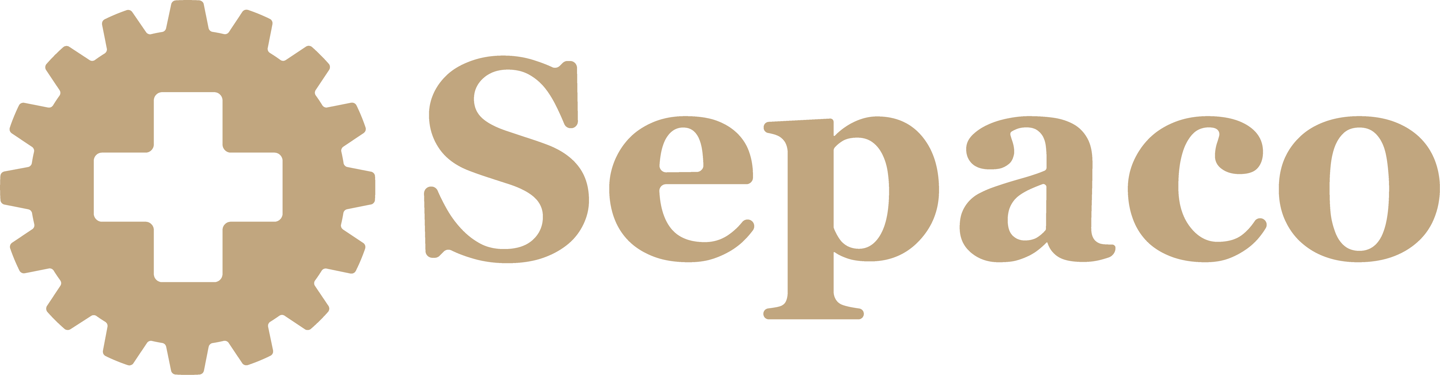 logo do parceiro HOSPITAL SEPACO