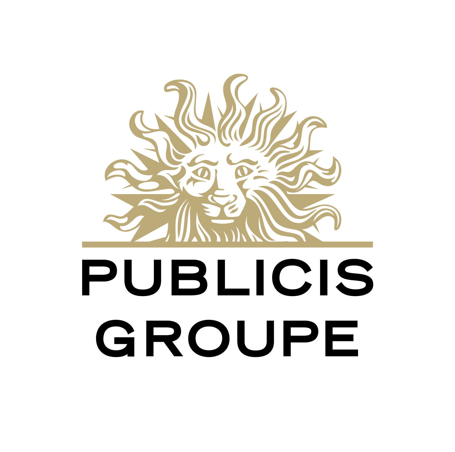 logo do parceiro PUBLICS GROUPE
